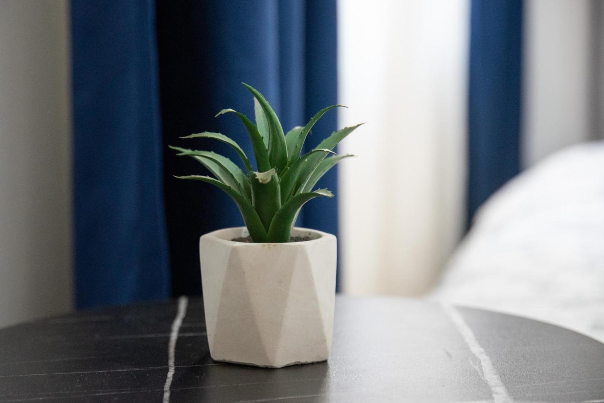 Nano Apartment Πρίζρεν Εξωτερικό φωτογραφία